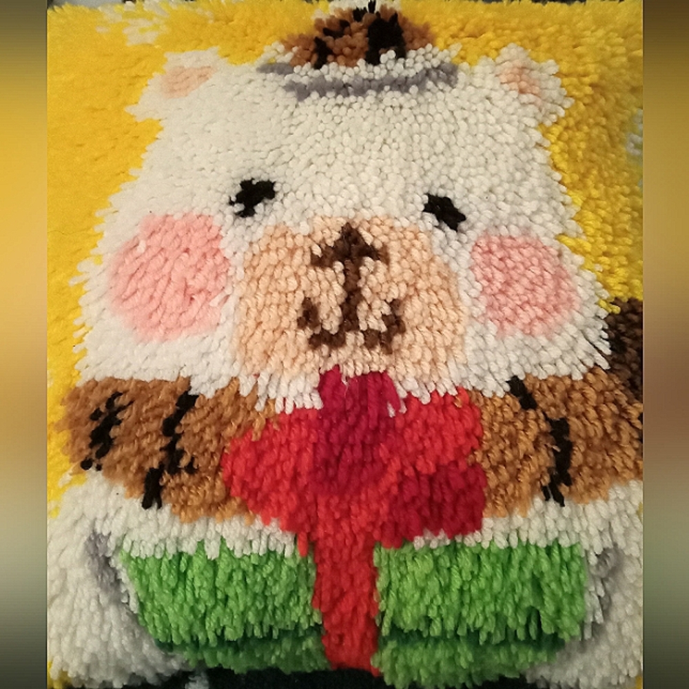 Latch Hook Craft Pillow